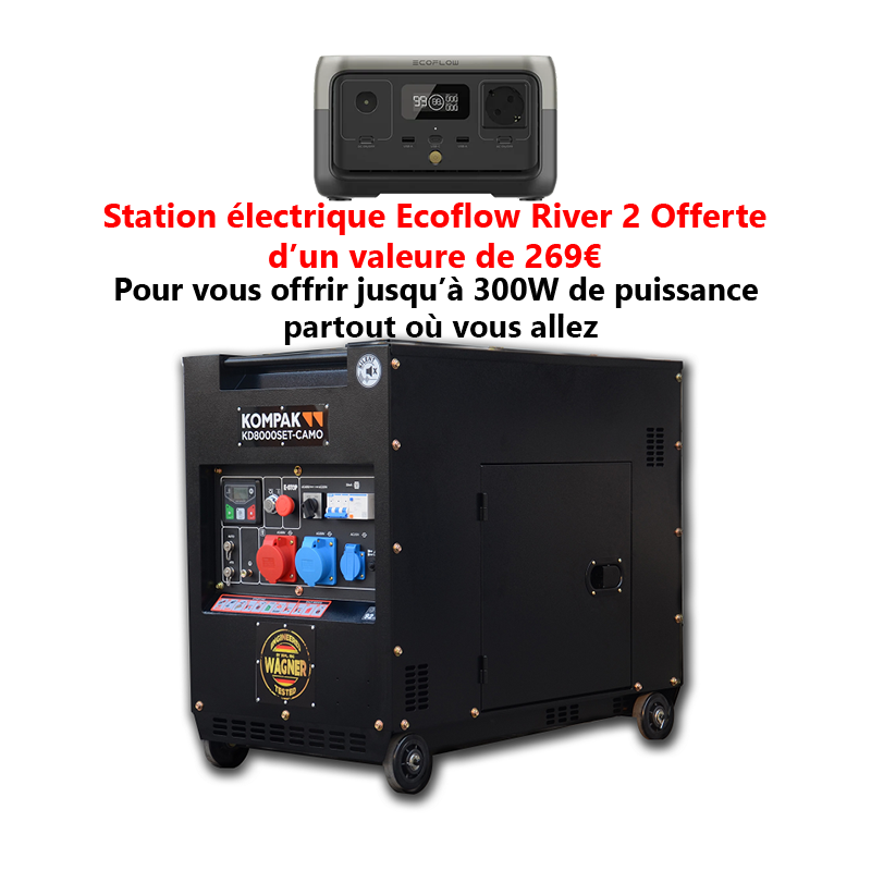 Générateur électrique portable EcoFlow RIVER 2 - 256Wh / 230V 300W / USB - Groupe  électrogène - ECOFLOW